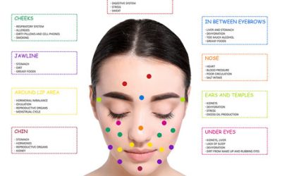 Face Mapping 101: Linking Skin Issues to Health Concerns