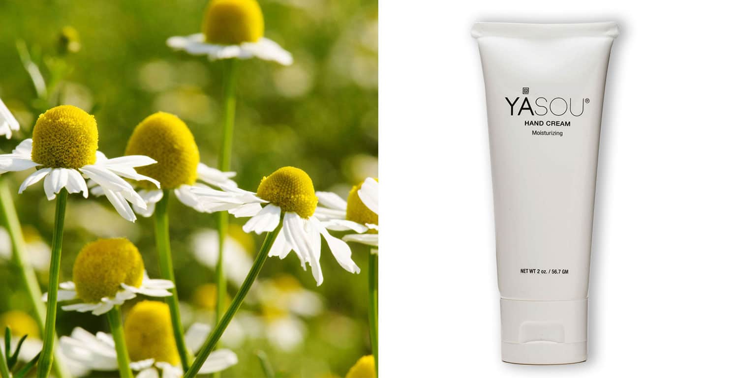 YASOU vegan hand cream with essential oils